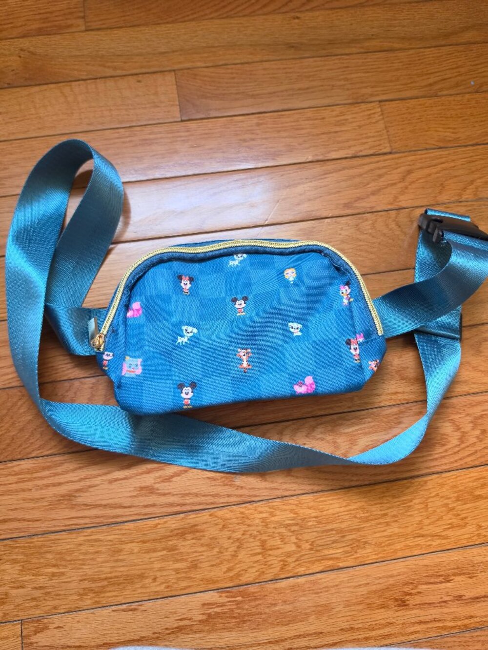Disney Character Fanny Pack